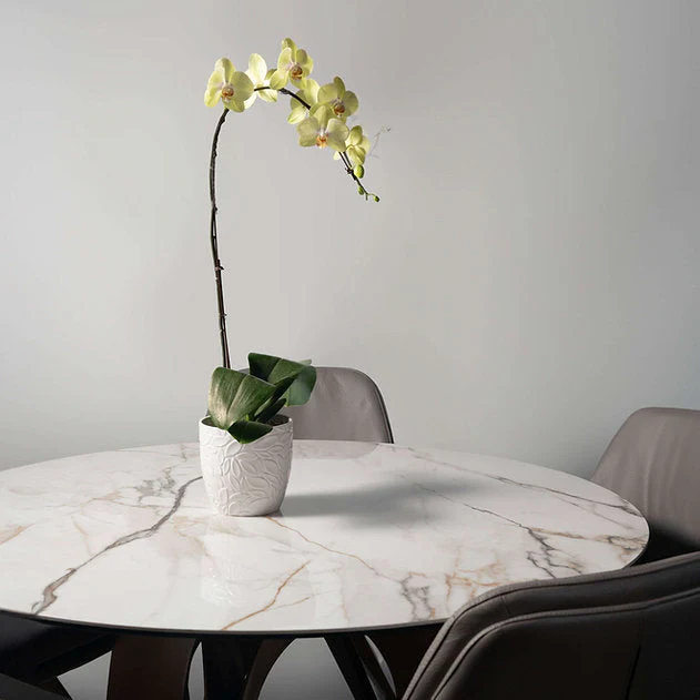 54" Dayton Ceramic Round Dining Table - Image 5